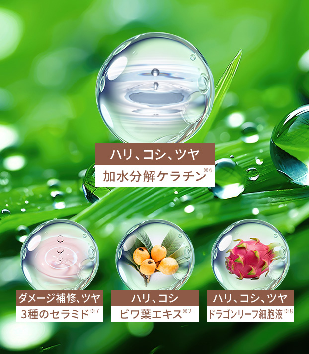 ハリ、コシ、ツヤ（加水分解ケラチン※6）／ダメージ補修、ツヤ（3種のセラミド※7）／ハリ、コシ（ビワ葉エキス※2）／ハリ、コシ、ツヤ（ドラゴンリーフ細胞液※8）