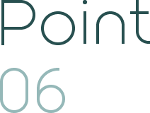 Point 06