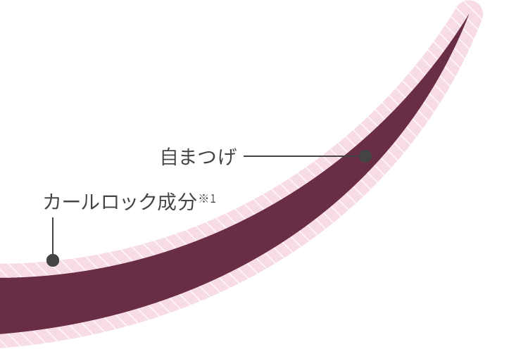 自まつげ、カールロック成分※1