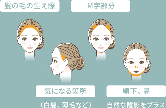 髪の毛の生え際、M字部分、気になる箇所（白髪、薄毛など）、顎下、鼻（自然な陰影をプラス）