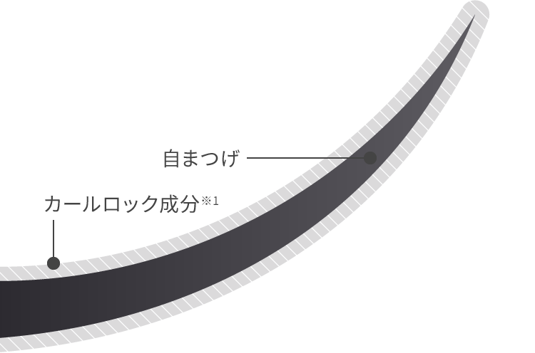 自まつげ、カールロック成分※1