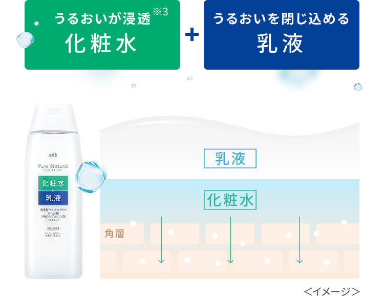 うるおいが浸透※1化粧水＋うるおいを閉じ込める乳液＜イメージ＞