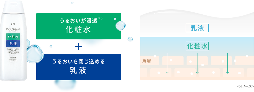 うるおいが浸透※1化粧水＋うるおいを閉じ込める乳液＜イメージ＞