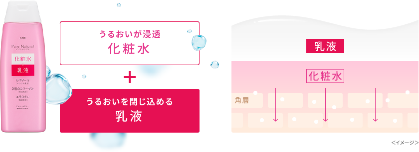 うるおいが浸透化粧水＋うるおいを閉じ込める乳液＜イメージ＞
