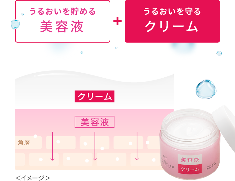 うるおいを貯める美容液＋うるおいを守るクリーム＜イメージ＞