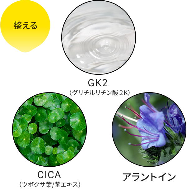 整える：CICA、GK2、アラントイン