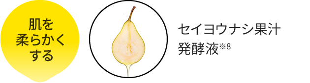 肌を柔らかくする：セイヨウナシ果汁、発酵液※8