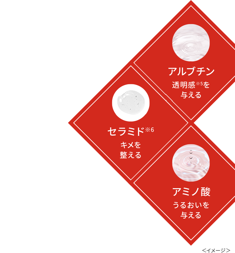 アルブチン※5：透明感を与える、セラミド※6：キメを整える、アミノ酸：うるおいを与える　つるんとなめらかな肌へ　紅茶エキス配合