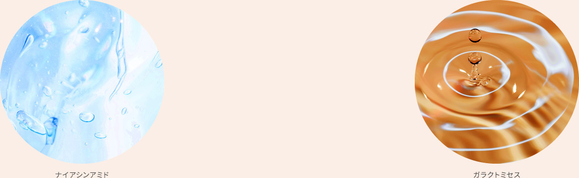 ガラクトミセス×ナイアシンアミド