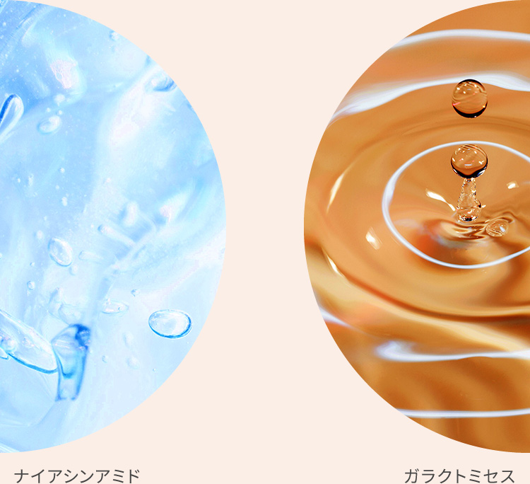 ガラクトミセス×ナイアシンアミド