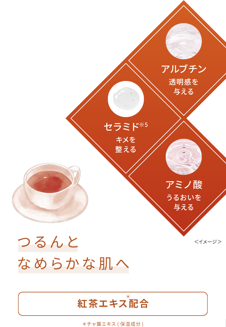 アルブチン:透明感を与える、セラミド※5:キメを整える、アミノ酸:うるおいを与える つるんとなめらかな肌へ 紅茶エキス配合