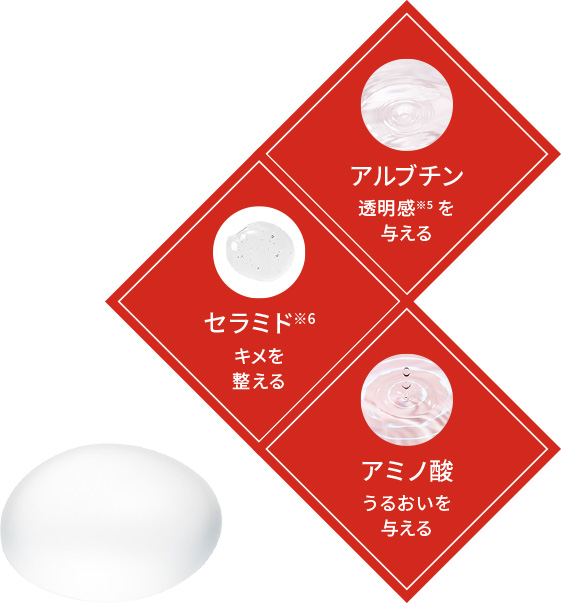 アルブチン：透明感※5を与える、セラミド※6：キメを整える、アミノ酸：うるおいを与える