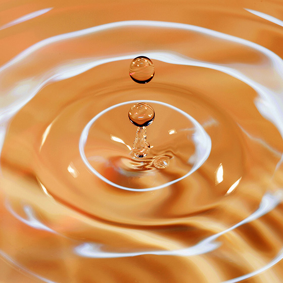 ガラクトミセス