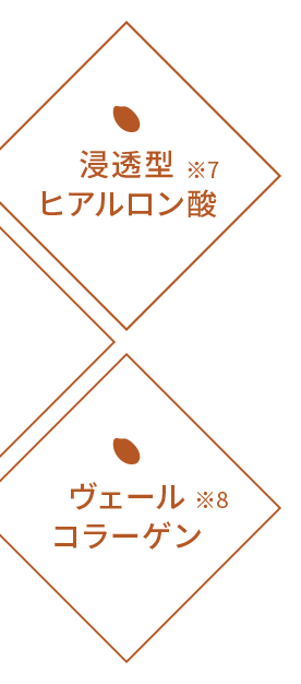 浸透型ヒアルロン酸※7　ヴェールコラーゲン※8