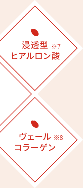 浸透型ヒアルロン酸※7　ヴェールコラーゲン※8