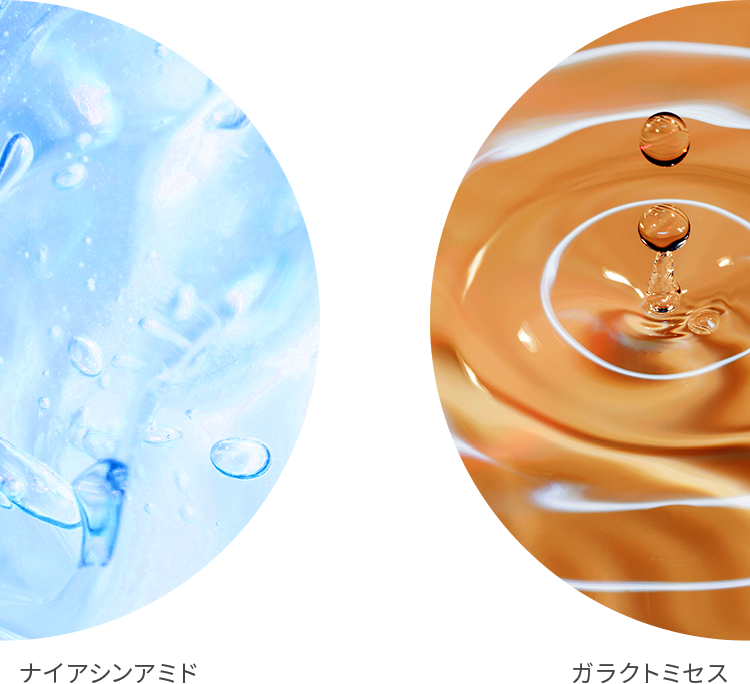 ガラクトミセス×ナイアシンアミド