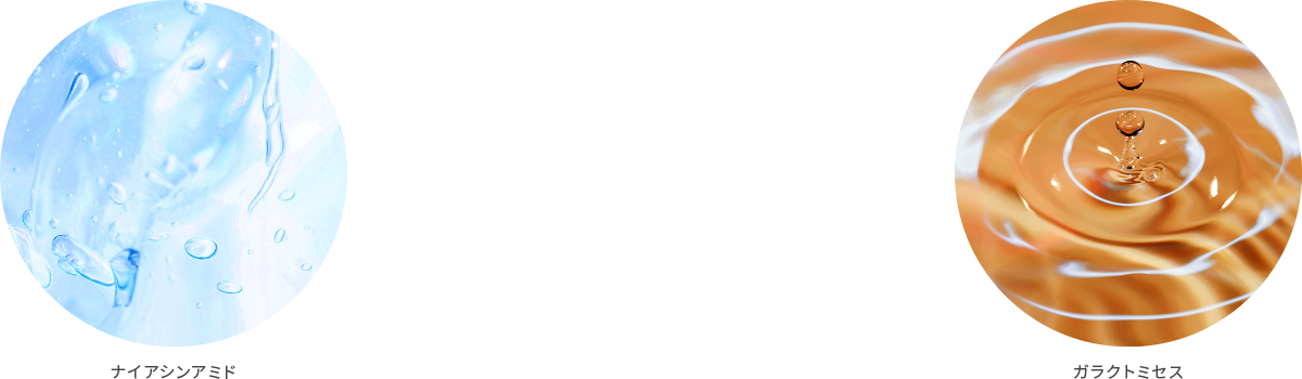 ガラクトミセス×ナイアシンアミド