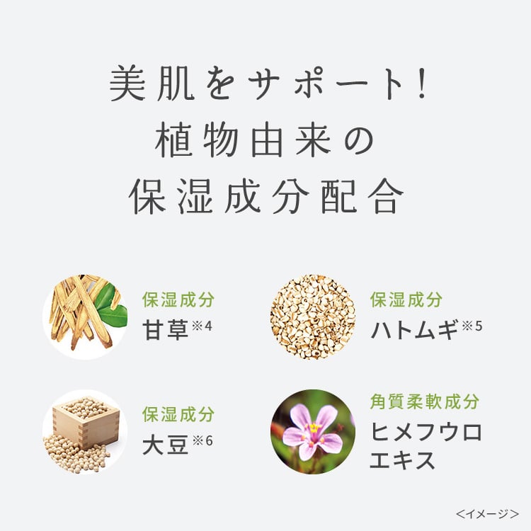 ワフードメイド　宇治抹茶の湯