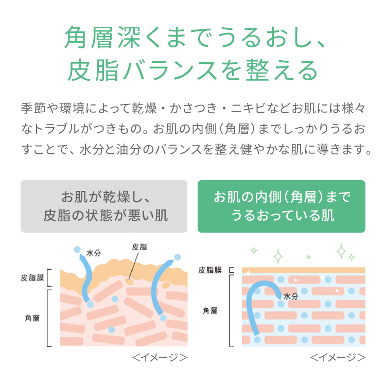  ピュア　ナチュラル　プレミアム　バランシング　エッセンスローション（つめかえ用）【医薬部外品】
