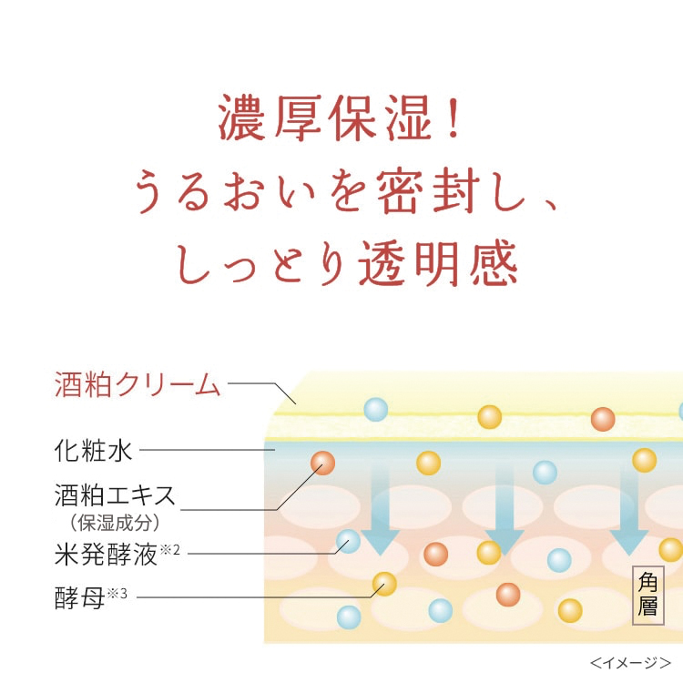ワフードメイド　酒粕クリーム