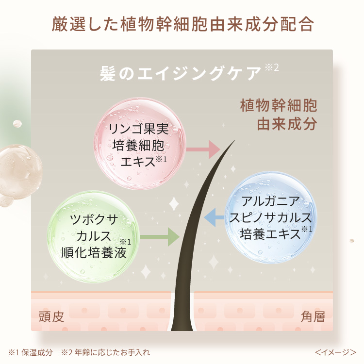 ピオラ ボタニカルボリュームトリートメント ジャスミン&イランイランの香り