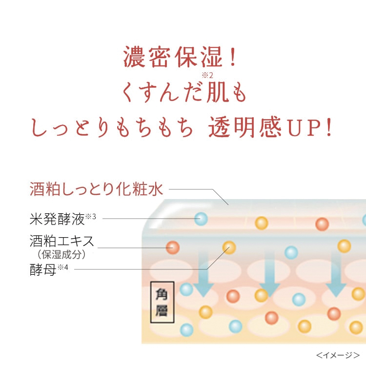 ワフードメイド　酒粕しっとり化粧水
