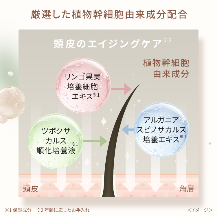 ピオラ　ボタニカルボリュームシャンプー　ジャスミン＆イランイランの香り