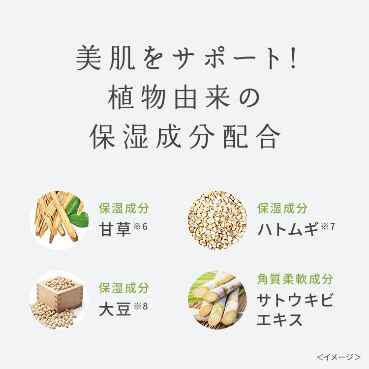 ワフードメイド　宇治抹茶パック